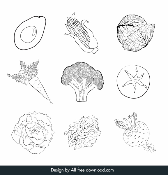Gemüse-Symbole schwarz weiß handgezeichnete Skizze