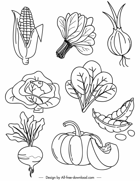 vegetales iconos blanco negro dibujado a mano bosquejo