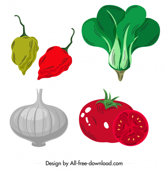 iconos de verduras chile chok choy cebolla tomate sketch