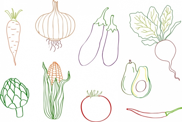 蔬菜图标收集平面彩色素描