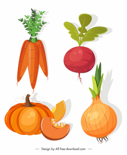 Gemüse-Ikonen farbige Karottenrüben Kürbis Zwiebel Skizze