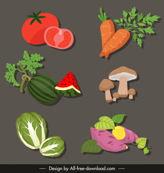ícones vegetais colorido esboço clássico