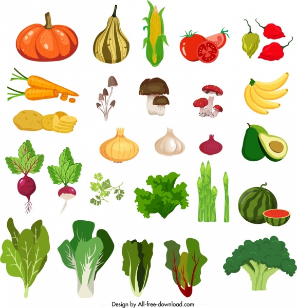 ícones vegetais colorido design clássico