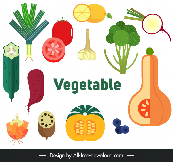蔬菜圖示五顏六色的古典平面素描