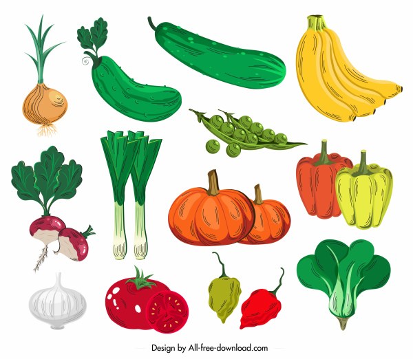 ícones vegetais coloridos design clássico desenhado à mão
