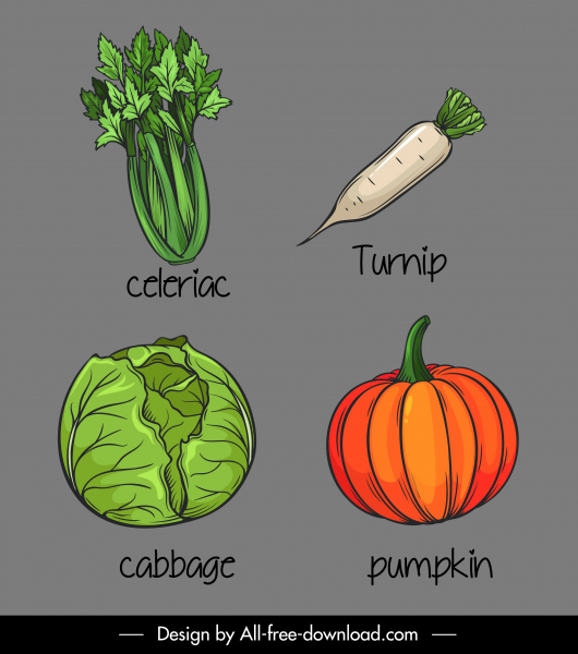 Gemüse-Ikonen handgezeichnet Sellerie Rüben Kohl Kürbis Skizze
