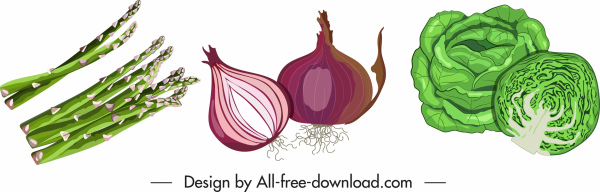 ikony cebuli kapusta klasyczny projekt warzywa szparagi