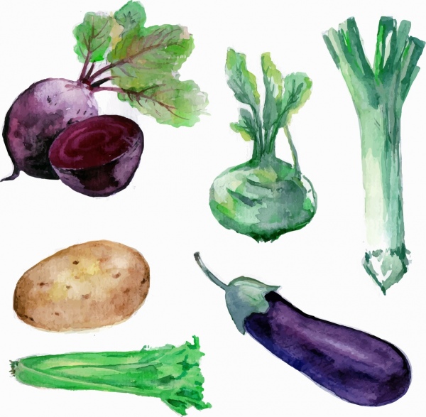 szkic watercolored handdrawn ikony warzyw