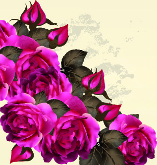 conjunto de vetores de rosas roxas vintage