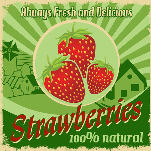 vecteur de styles Vintage fraises affiche