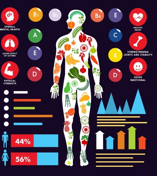 Vitamin Vorteile Infografik menschlichen Körpers Symbol Diagramme Dekor