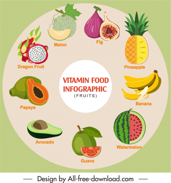 banner infográfico de vitamina alimentos layout de círculo de emblemas coloridos