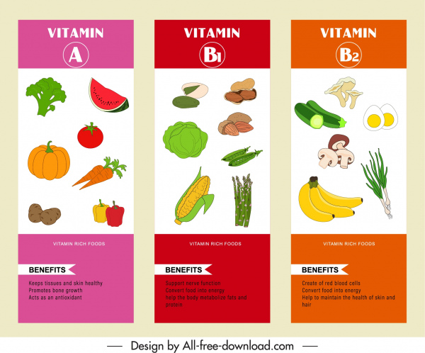 Vitamin Infografik Vorlagen bunte handgezeichnete Gemüse Obst Skizze