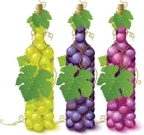 winogrona żywe elementy wektorowe tło