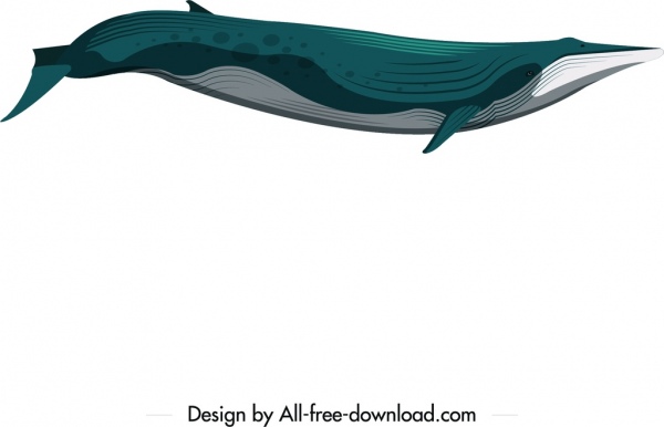 ikon hewan paus biru dekorasi Desain gerak putih
