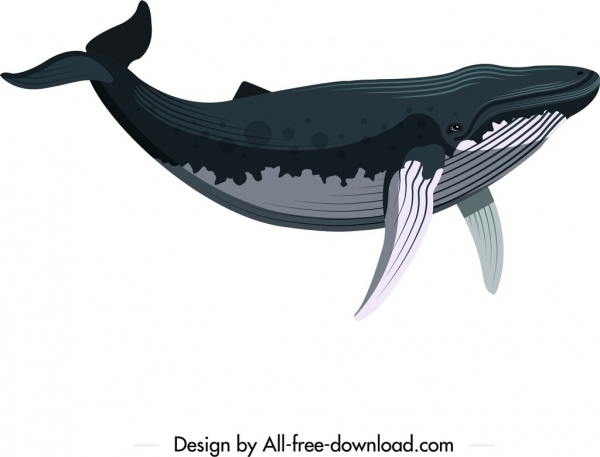 dibujo de ballena animal icono coloreado de dibujos animados