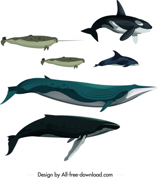 Baleine poisson école dessin croquis de dessin animé de couleur