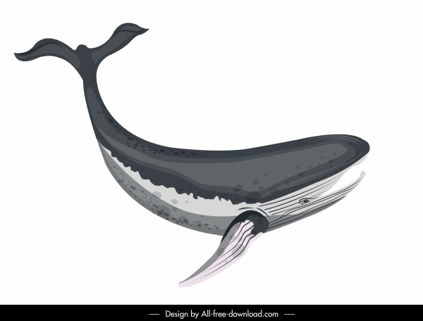ícone de baleia nadando esboço preto branco design