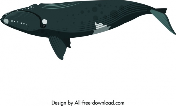 鯨魚圖示倒置游泳素描