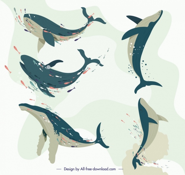 ikony wielorybów pływanie gest projekt