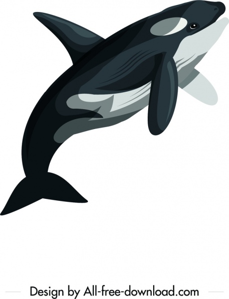 ปลาวาฬภาพวาดภาพร่างสีการ์ตูน