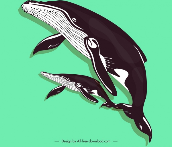 鯨魚繪畫有色古典剪影