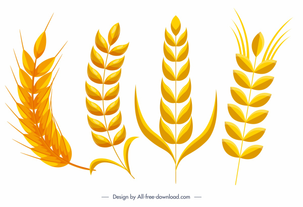 iconos de la flor de trigo brillante boceto amarillo plano