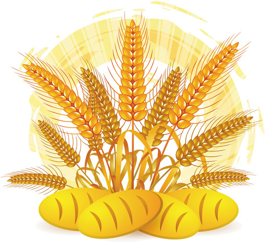 Wheat With Bread Vector 3