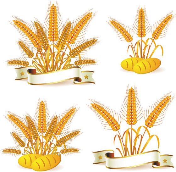 Wheat With Bread Vector 4