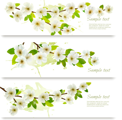 primavera flores blancas banderas vectores