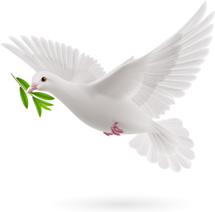 beyaz güvercin gerçekçi vektör tasarımı