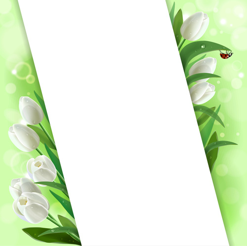 tulipas brancas de vetores gráficos de fundo