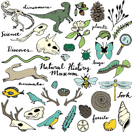 wilde Tiere und natürliche Vektor-illustration