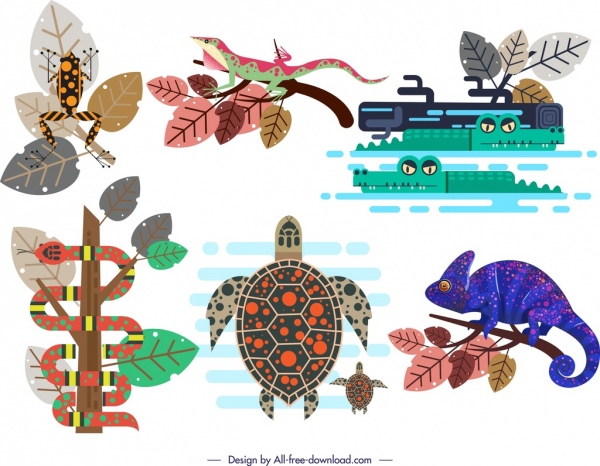 ícones animais selvagens design clássico colorido