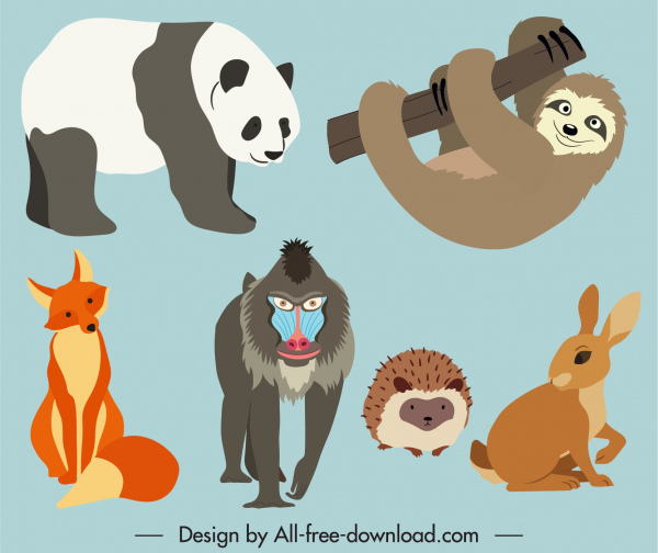 iconos animales salvajes coloreado dibujos animados boceto