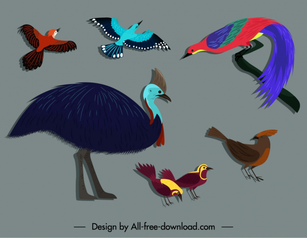 pájaros salvajes iconos colorido bosquejo plano