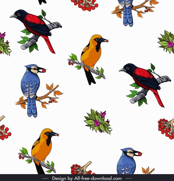 野生の鳥の種のカラフルなアイコンの装飾をパターンします。