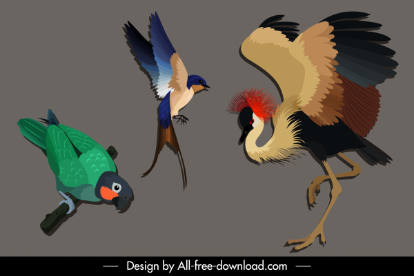 burung liar spesies ikon burung beo Crane Woodpecker Sketch
