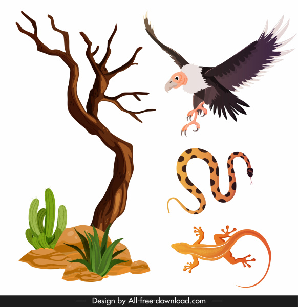 ícones de deserto selvagem árvore águia cobra lagartixa esboço