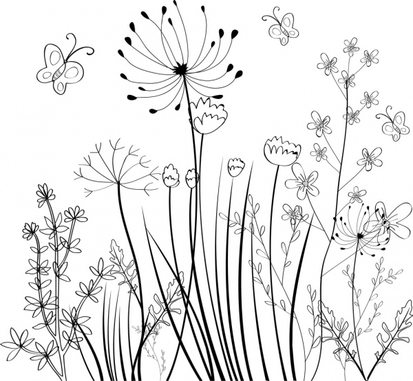 Loài hoa dại đồng phác thảo nền đen trắng.