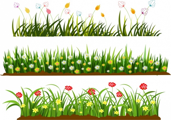 زهور العشب البري قوالب تصميم الرسوم المتحركة الملونة