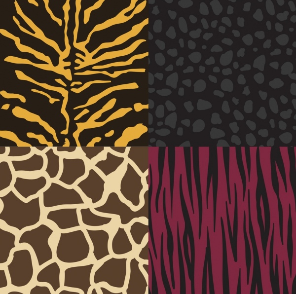 wild pelle color design pattern raccolta vari piatti