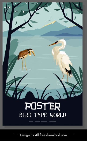 野生动物海报 stork 物种素描五颜六色的经典