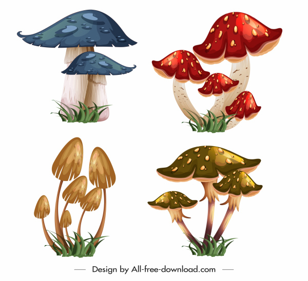champignons sauvages icônes croquis 3d coloré