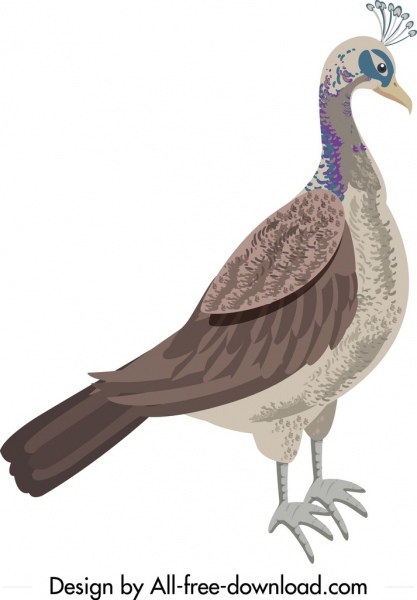 dibujo de pavo real salvaje icono presentan una decoración sencilla handdrawn color
