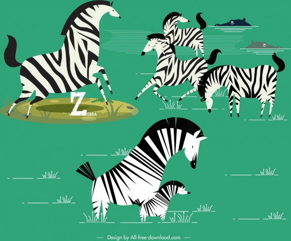 kawanan zebra liar lukisan berwarna desain klasik