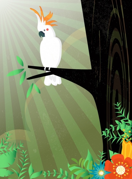 野生动物背景白色鹦鹉图标太阳光线装饰