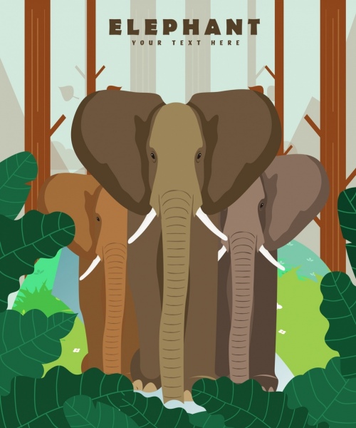 la bannière multicolore éléphants sauvages icônes de conception
