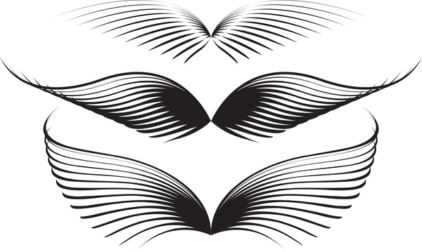 vector de gráficos de alas