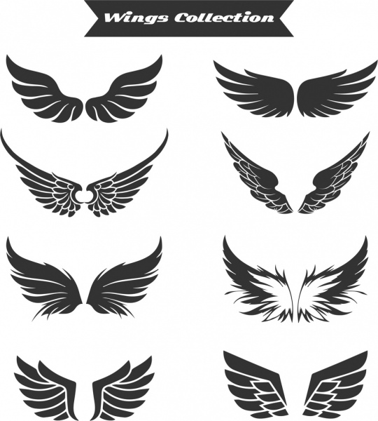 sayap ikon koleksi datar hitam putih desain